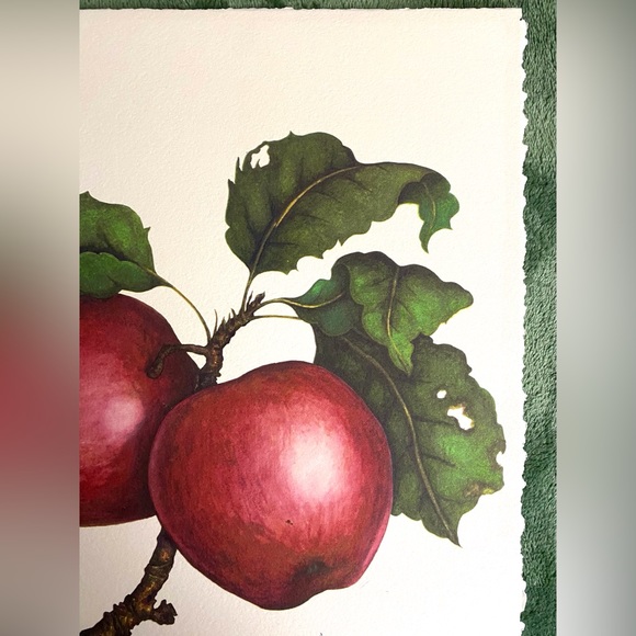 JONALICIOUS APPLE fine art print - Picture 4 of 6